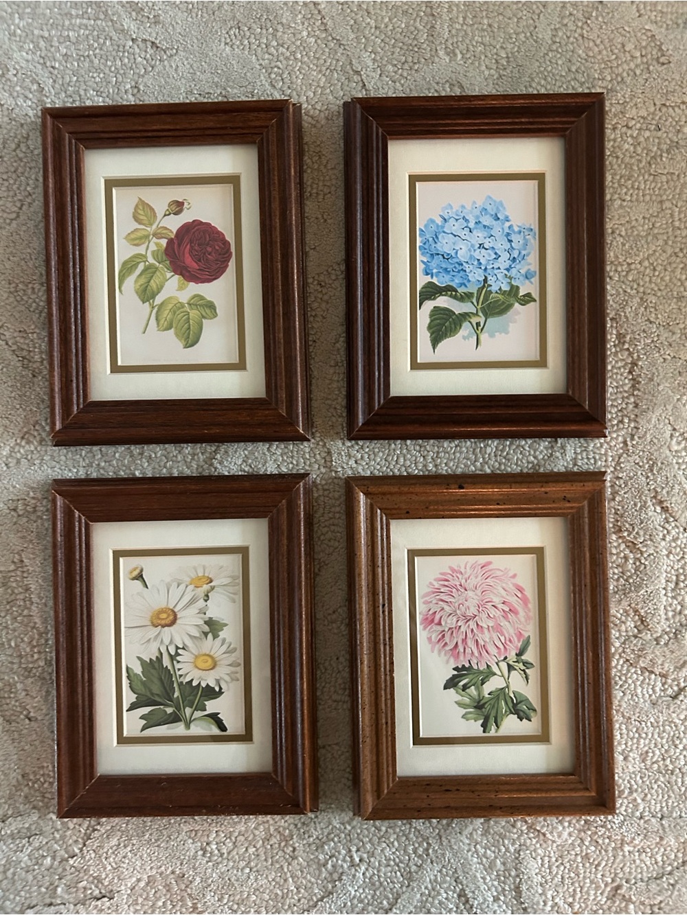 Set of 4 Floral Art Prints Framed Tiny Miniature Mini Flowers Botanical NOT ACEO